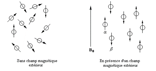 rmn2 Résonance Magnétique Nucléaire (R.M.N) incomplet