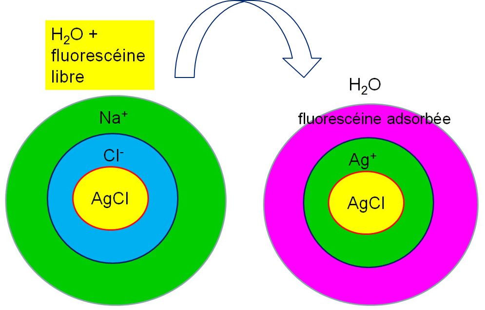 Image5 Méthodes quantitatives relatives aux composés peu solubles - Argentimétrie