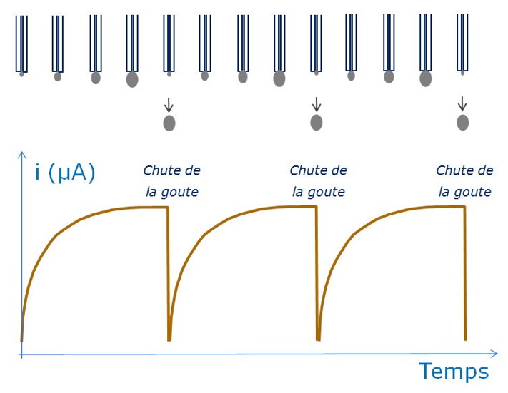 chute_goutte Polarographie