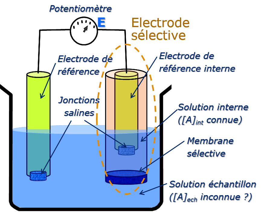 electr_specifique Potentiométrie