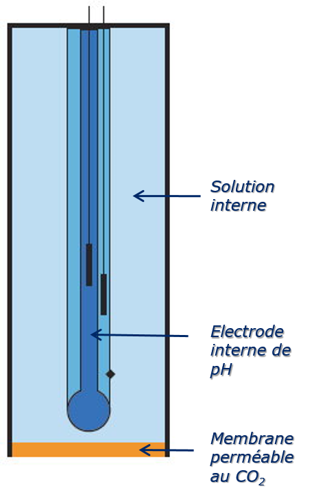 electrode_gaz Potentiométrie