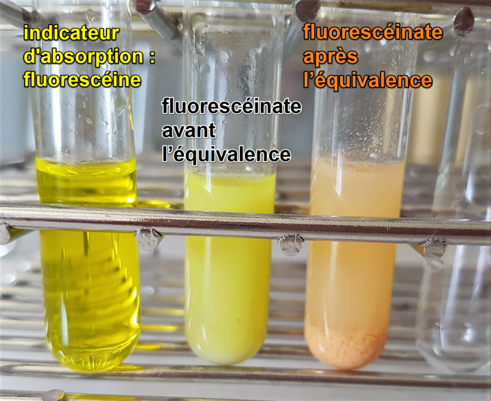 fajans_equivalence Méthodes quantitatives relatives aux composés peu solubles - Argentimétrie