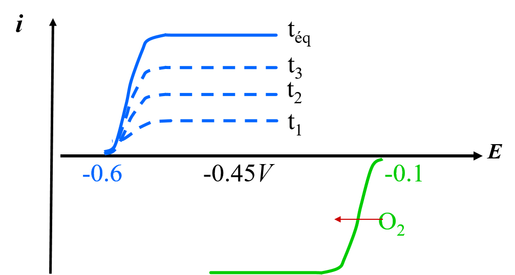 oxy Ampérométrie