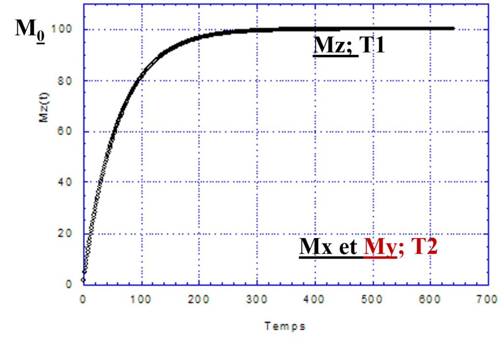 rmn8-1024x689 Résonance Magnétique Nucléaire (R.M.N) incomplet