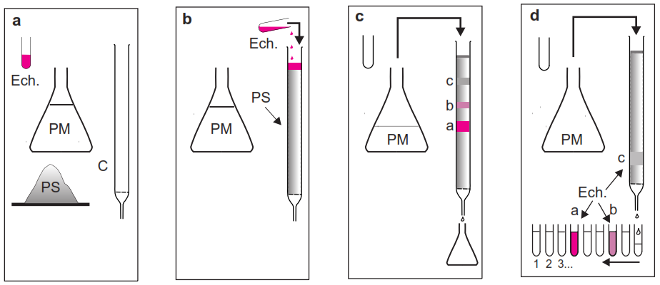 clbp Chromatographie liquide conventionnelle ou a basse pression (CLBP)