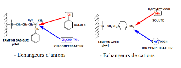 echangeurs_ions Chromatographie Liquide Haute Performance HPLC