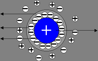 migr_electr Électrophorèse