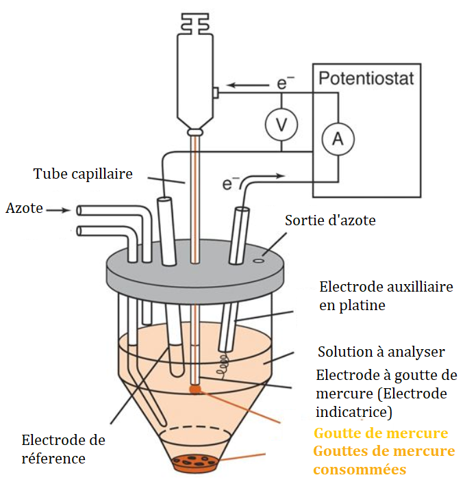 Polarographie_montage Polarographie