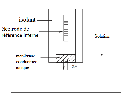 electrode_membrane Potentiométrie